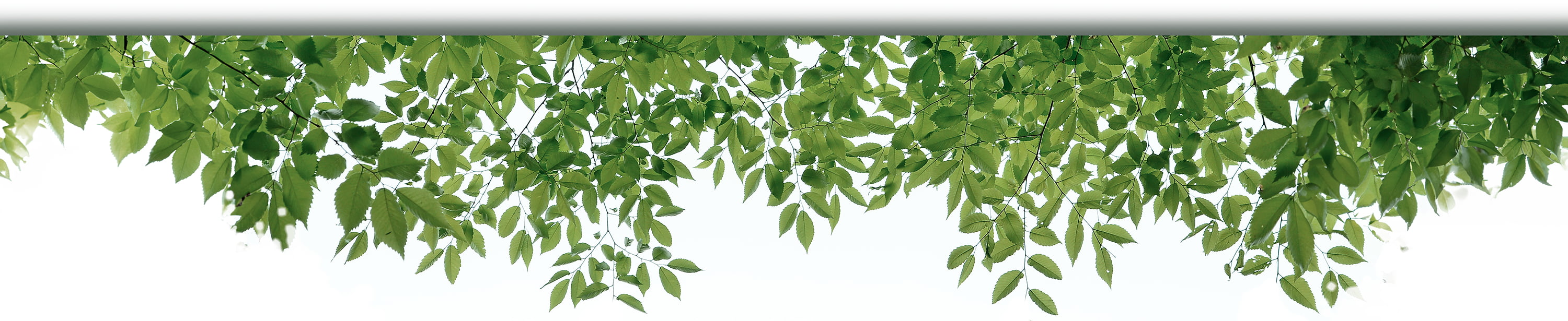 divisória robótica