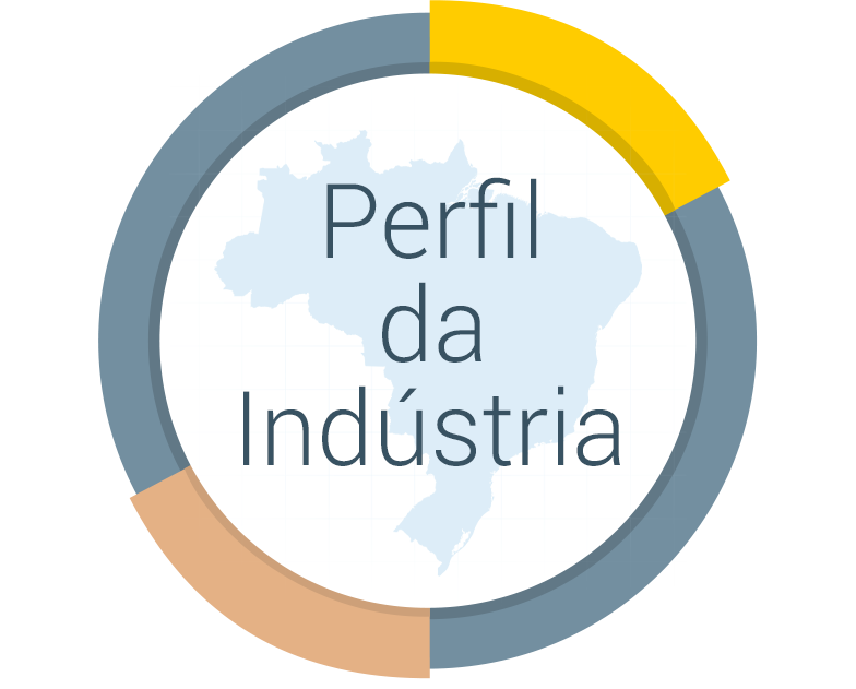 Perfil da Indústria Industrial